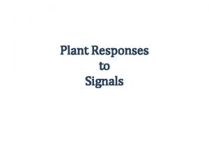 Plant Responses to Signals Plant Reactions Stimuli and