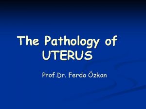 The Pathology of UTERUS Prof Dr Ferda zkan