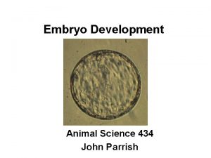Embryo Development Animal Science 434 John Parrish Timing