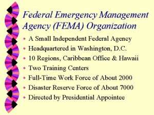 Federal Emergency Management Agency FEMA Organization w w