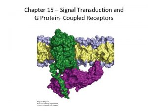 Chapter 15 Signal Transduction and G ProteinCoupled Receptors