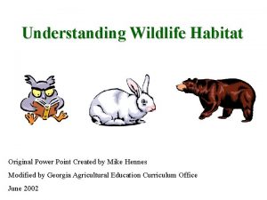 Understanding Wildlife Habitat Original Power Point Created by