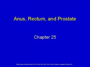 What is the function of anus