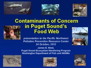 Contaminants of Concern in Puget Sounds Food Web