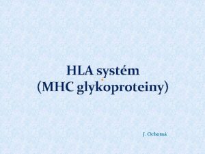 HLA systm MHC glykoproteiny J Ochotn MHC glykoproteiny