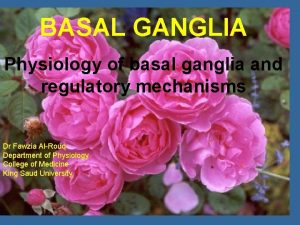 BASAL GANGLIA Physiology of basal ganglia and regulatory