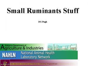 Small Ruminants Stuff Elba Auburn DG Pugh Hanceville