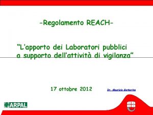 Regolamento REACHLapporto dei Laboratori pubblici a supporto dellattivit
