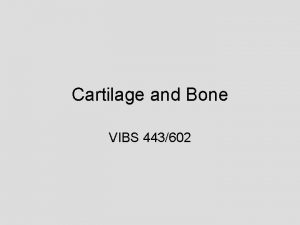 Cartilage and Bone VIBS 443602 OBJECTIVES GENERAL ORGANIZATION