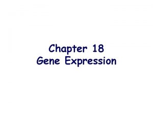 Chapter 18 Gene Expression Gene Expression and Metabolic