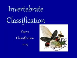 Invertebrate Classification Year 7 Classification 2015 Quick Quiz