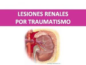 LESIONES RENALES POR TRAUMATISMO Generalidades Comn Proteccin renal