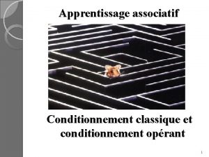 Apprentissage associatif Conditionnement classique et conditionnement oprant 1