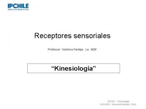 Receptores sensoriales Professor Vernica Pantoja Lic MSP Kinesiologa