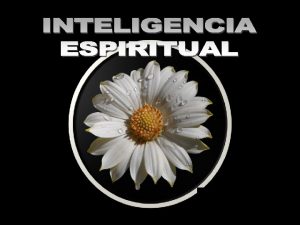 La inteligencia espiritual est por encima de la