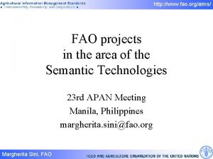 http www fao orgaims FAO projects in the