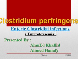 Clostridium perfringens Enteric Clostridial infections Enterotoxaemia Presented By