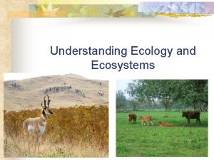 Understanding Ecology and Ecosystems Next Generation ScienceCommon Core