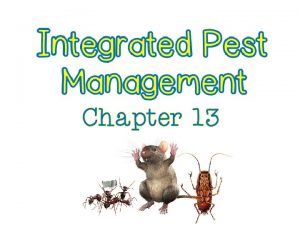 Rodents insects and other pests are more than