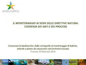 IL MONITORAGGIO AI SENSI DELLE DIRETTIVE NATURA COERENZA