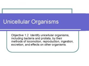 Unicellular Organisms Objective 1 2 Identify unicellular organisms