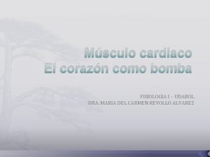 Msculo cardiaco El corazn como bomba FISIOLOGIA I