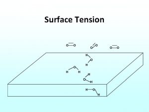 Surface Tension Compliance Curve Review Muscle Elastic and