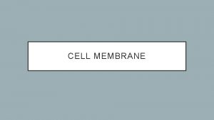 CELL MEMBRANE PLASMA MEMBRANE FUNCTIONS Boundary Holds cytoplasm