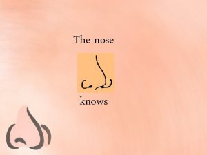 The nose knows The nose Sense of Smell