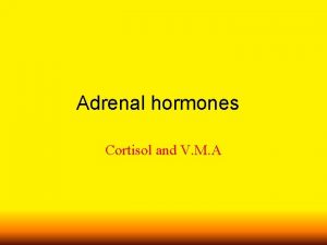 Adrenal hormones Cortisol and V M A ACTH