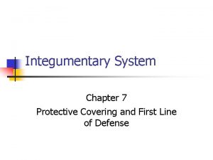 Integumentary System Chapter 7 Protective Covering and First