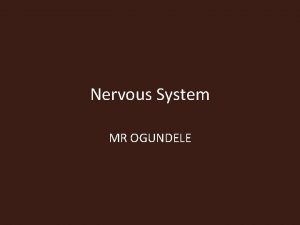 Nervous System MR OGUNDELE Nervous system The nervous