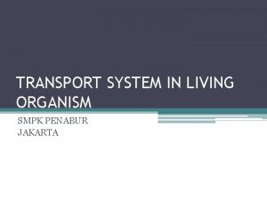 TRANSPORT SYSTEM IN LIVING ORGANISM SMPK PENABUR JAKARTA