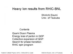 Heavy Ion results from RHICBNL Shin Ichi Esumi