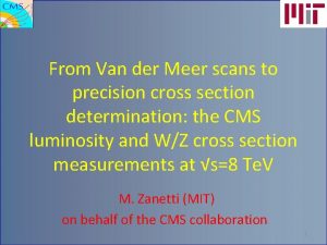 From Van der Meer scans to precision cross