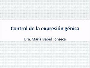 Control de la expresin gnica Dra Mara Isabel