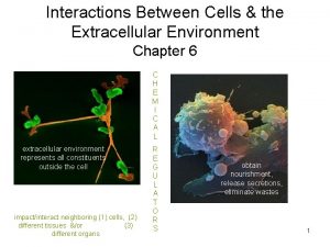 Interactions Between Cells the Extracellular Environment Chapter 6