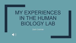 MY EXPERIENCES IN THE HUMAN BIOLOGY LAB Zach