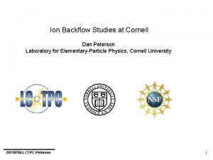 Ion Backflow Studies at Cornell Dan Peterson Laboratory