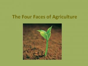 The Four Faces of Agriculture Food System All