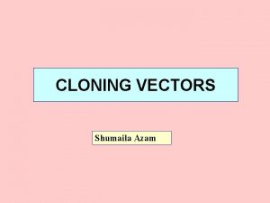 CLONING VECTORS Shumaila Azam IMPORTANT CLONING VECTORS 1