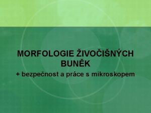 MORFOLOGIE IVOINCH BUNK bezpenost a prce s mikroskopem