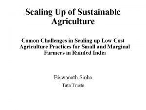 Scaling Up of Sustainable Agriculture Comon Challenges in