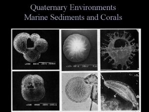 Quaternary Environments Marine Sediments and Corals Marine Environments