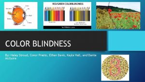 COLOR BLINDNESS By Haley Stroud Conor Presto Ethan