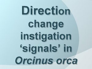 Direction change instigation signals in Orcinus orca Introduction