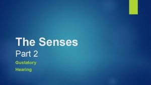 The Senses Part 2 Gustatory Hearing Sense of