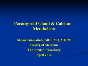 Parathyroid Gland Calcium Metabolism Munir Gharaibeh MD Ph