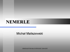 NEMERLE Micha Maliszewski SEMINARIUM MAGISTERSKIE 20042005 PLAN PREZENTACJI