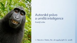 Autorsk prvo a uml inteligence Rudolf Leka Naruto